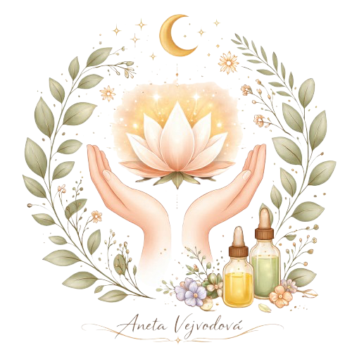 Znak Anety Vejvodové